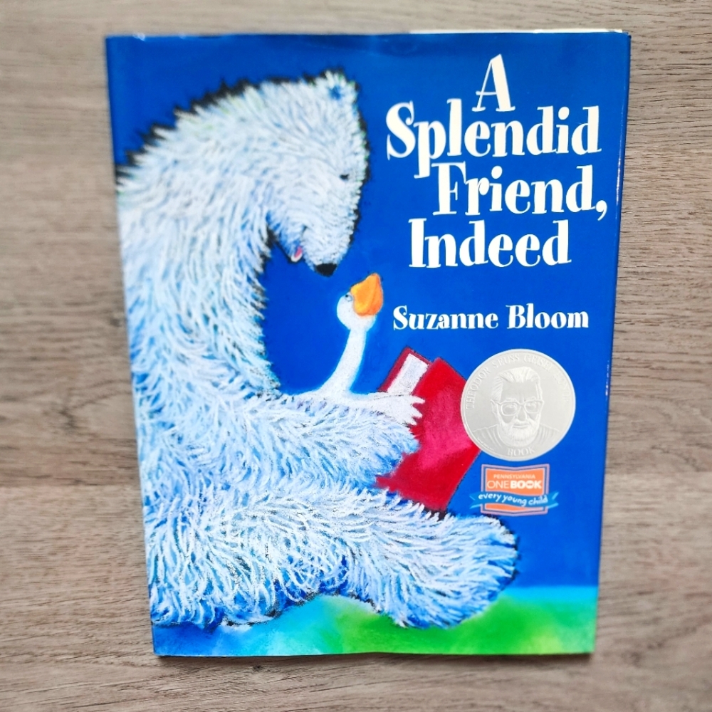 A Splendid Friend, Indeed Vintage Children's Illustrated Fiction Hardcover Book